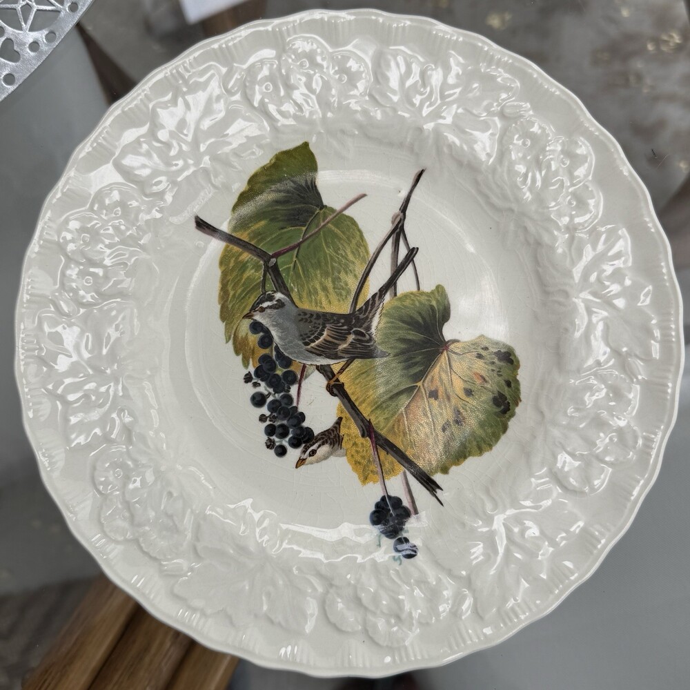 Alfred Meakin National Audubon Birds of America Plate #114 White Crowned Sparrow